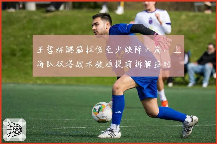王哲林腿筋拉伤至少缺阵六周，上海队双塔战术被迫提前拆解应对