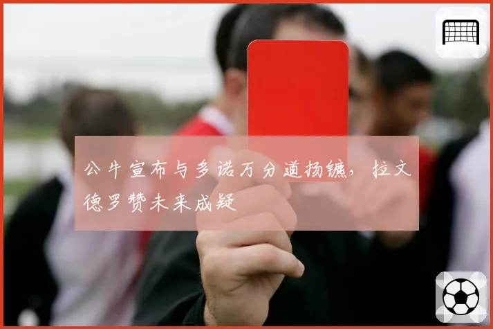 公牛宣布与多诺万分道扬镳,拉文德罗赞未来成疑