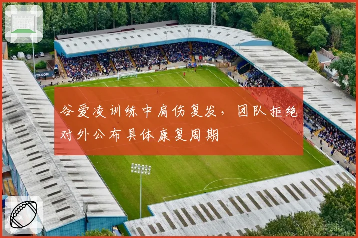 谷爱凌训练中肩伤复发，团队拒绝对外公布具体康复周期