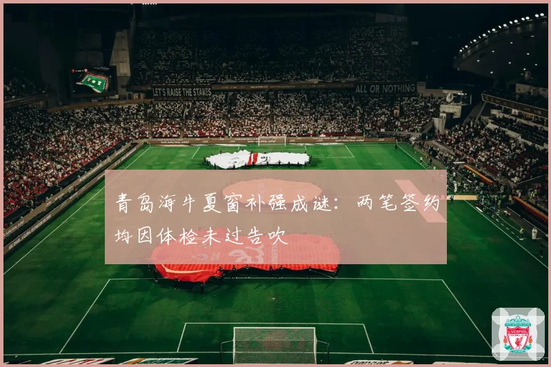 青岛海牛夏窗补强成谜:两笔签约均因体检未过告吹