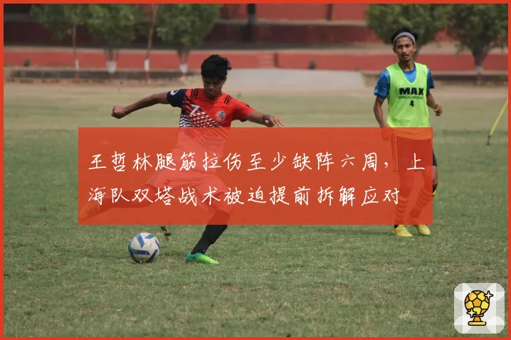 王哲林腿筋拉伤至少缺阵六周，上海队双塔战术被迫提前拆解应对